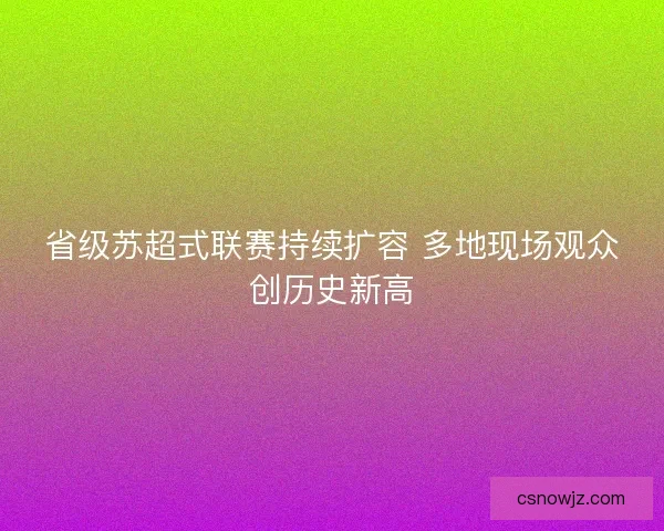 省级苏超式联赛持续扩容 多地现场观众创历史新高