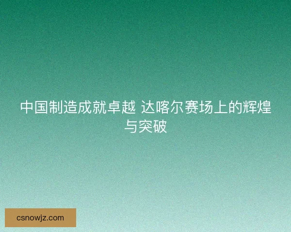中国制造成就卓越 达喀尔赛场上的辉煌与突破